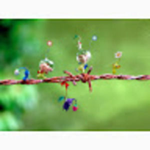 Meet your Posher, King